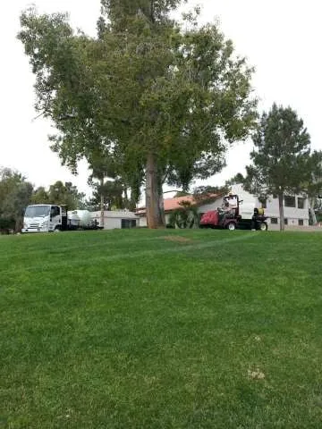 Professional residential landscaping in Phoenix, AZ by Ground Solutions