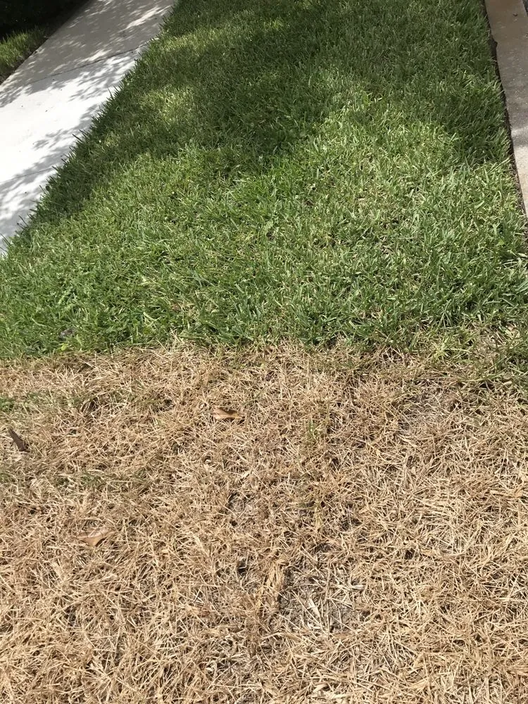 Custom lawn care service experts serving Orlando, FL - Ground Source