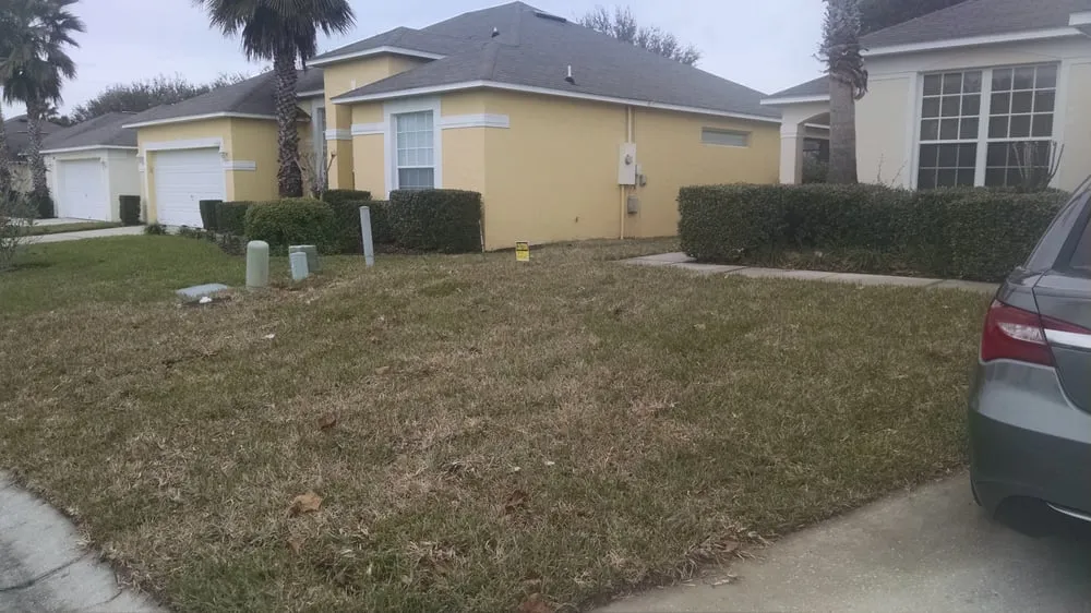 Custom outdoor landscaping experts serving Orlando, FL - Ground Source