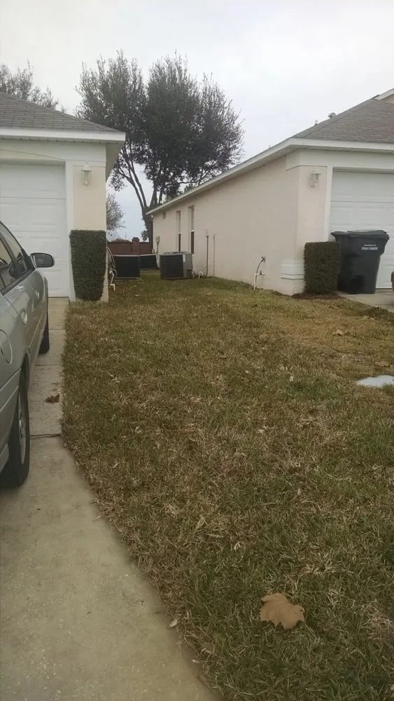 Reliable landscape design with custom design in Orlando, FL by Ground Source