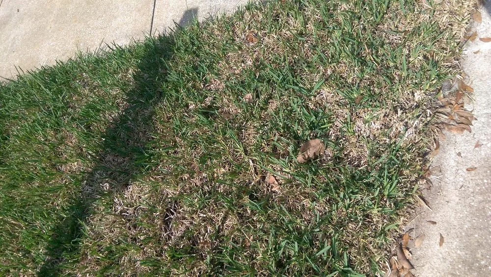 Expert lawn mowing service in Orlando, FL - Ground Source