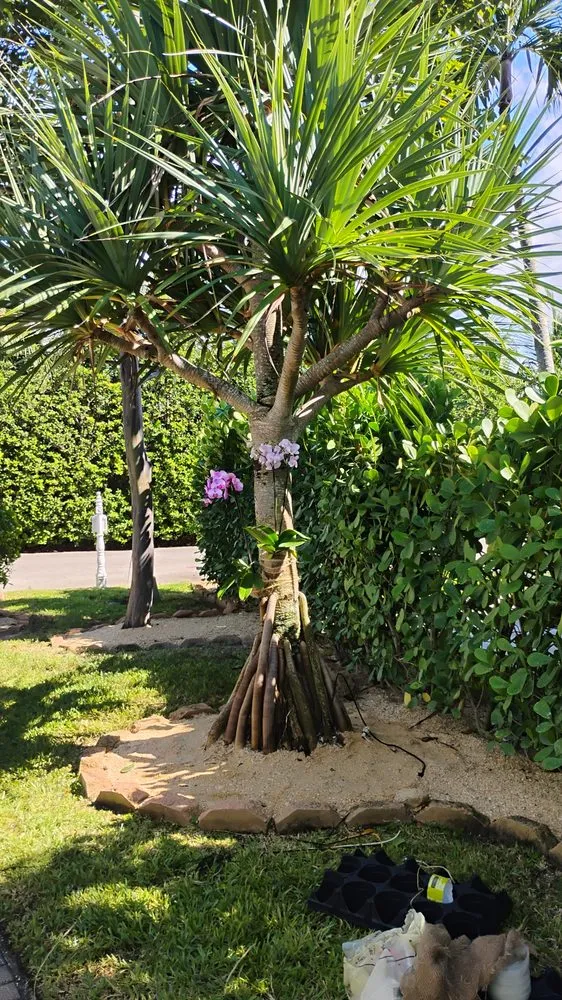 Expert yard cleanup service in Stuart, FL - Ground Source