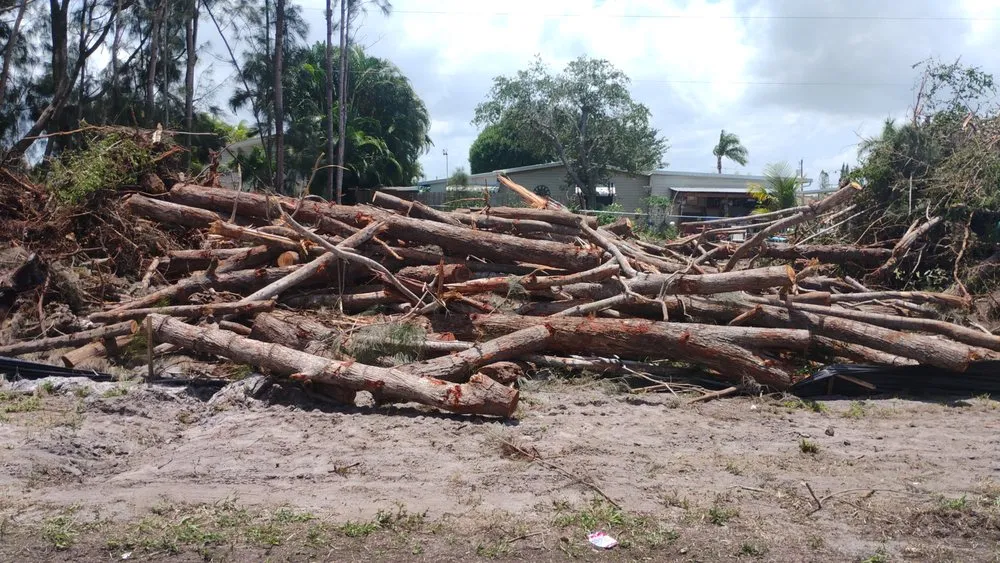 Trusted landscape design in Stuart, FL by Ground Source