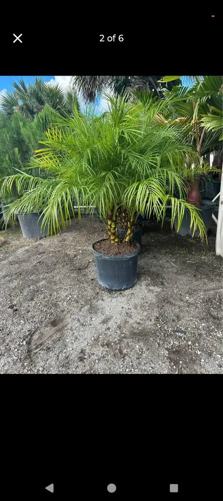 Custom outdoor landscaping for residential properties across Stuart, FL - Ground Source