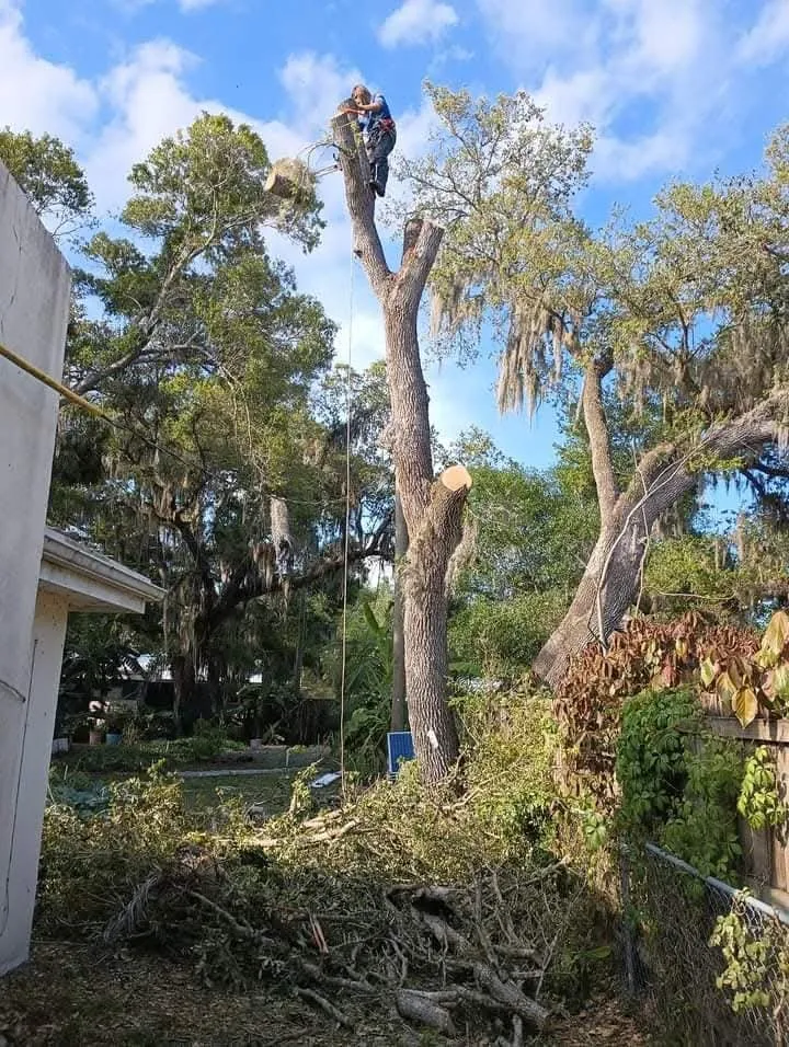 Affordable residential landscaping for year-round maintenance across Stuart, FL - Ground Source