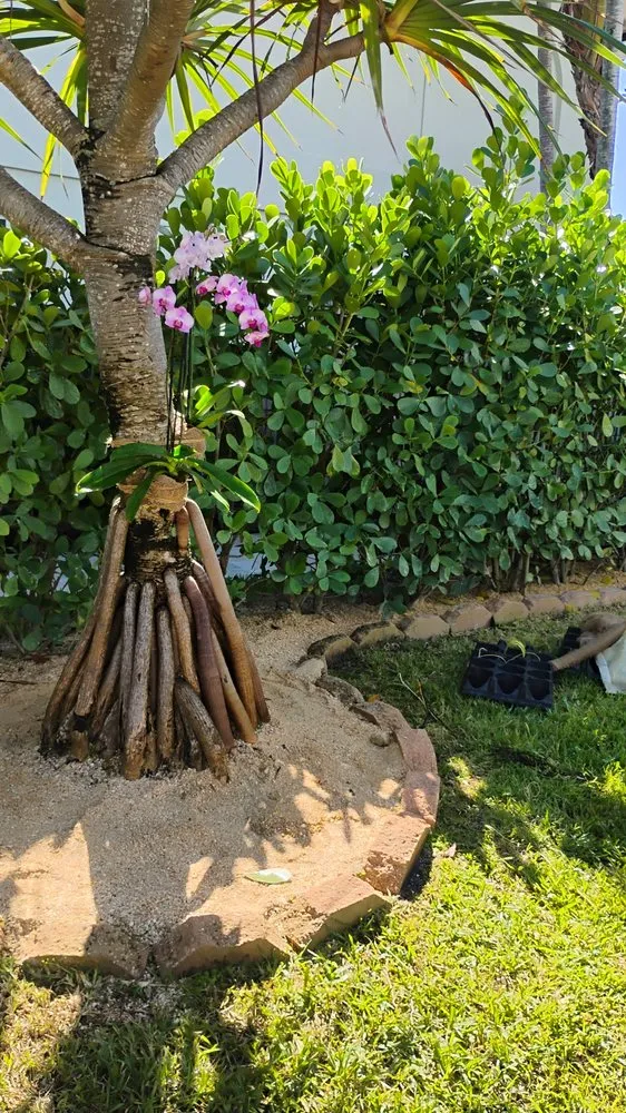 Top-rated landscaping services with custom design in Stuart, FL by Ground Source