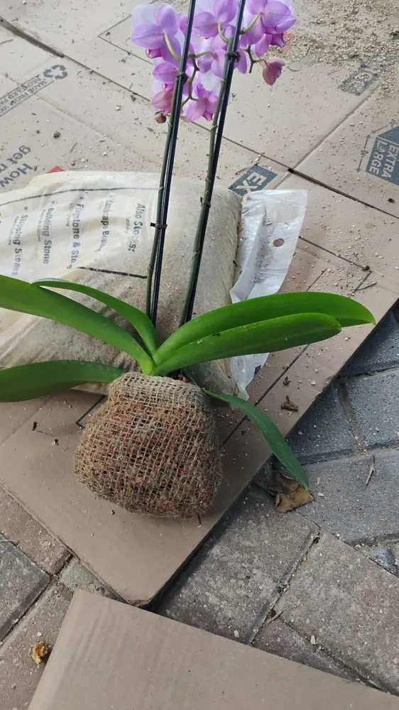 Affordable landscape installation in Stuart, FL - Ground Source