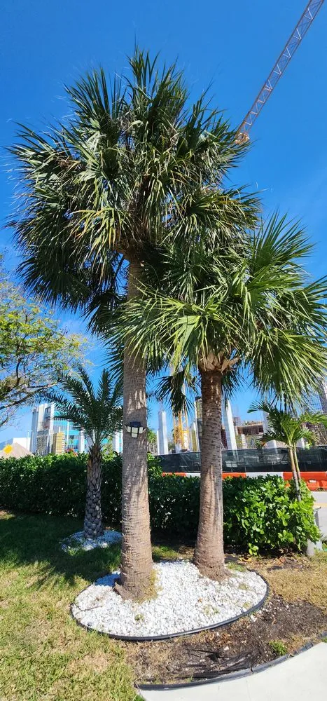 Top-rated landscape installation in Stuart, FL - Ground Source