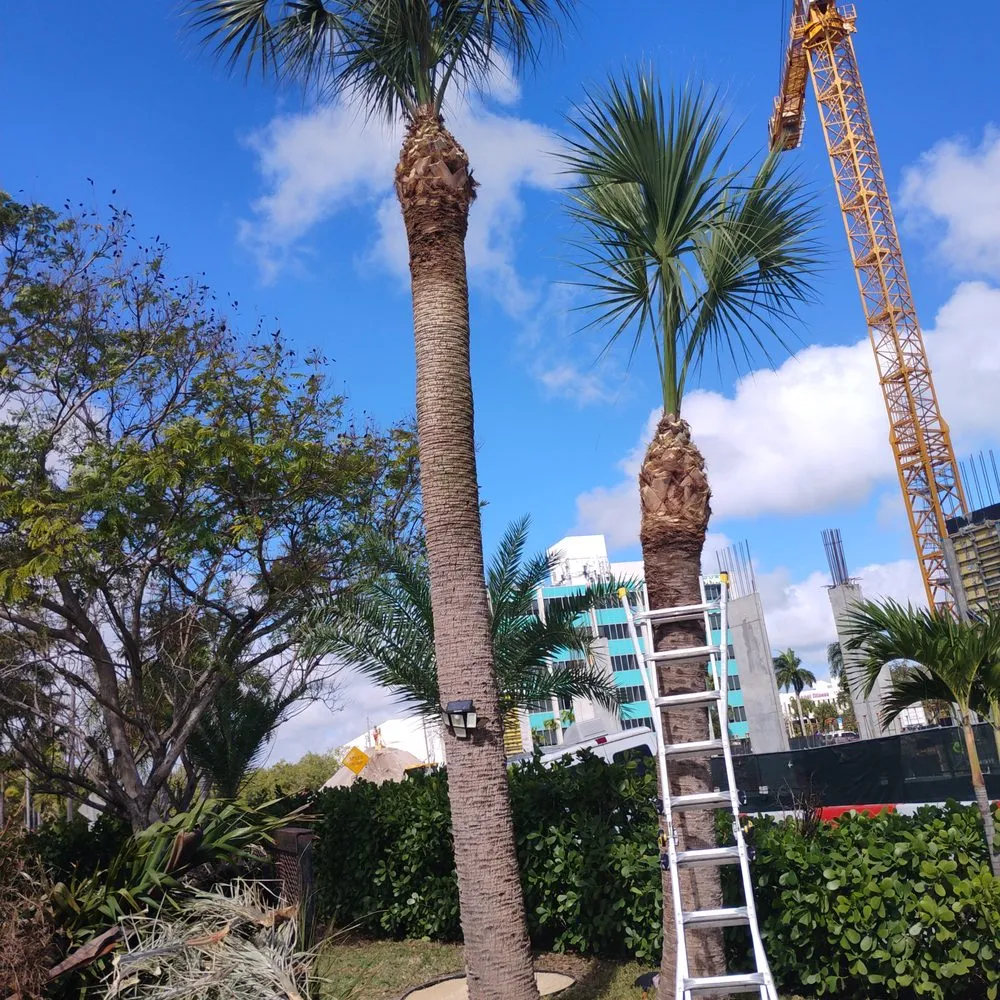 Affordable yard maintenance experts serving Stuart, FL - Ground Source