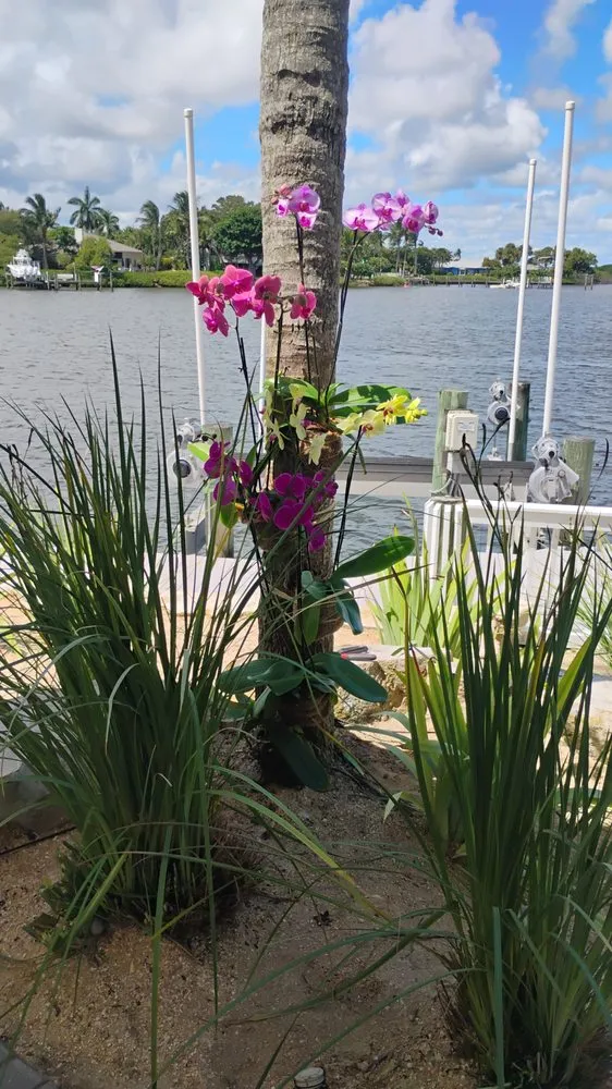 Reliable residential landscaping for beautiful yards across Stuart, FL - Ground Source