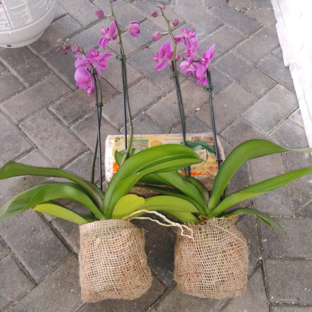 Reliable landscape design in Stuart, FL by Ground Source