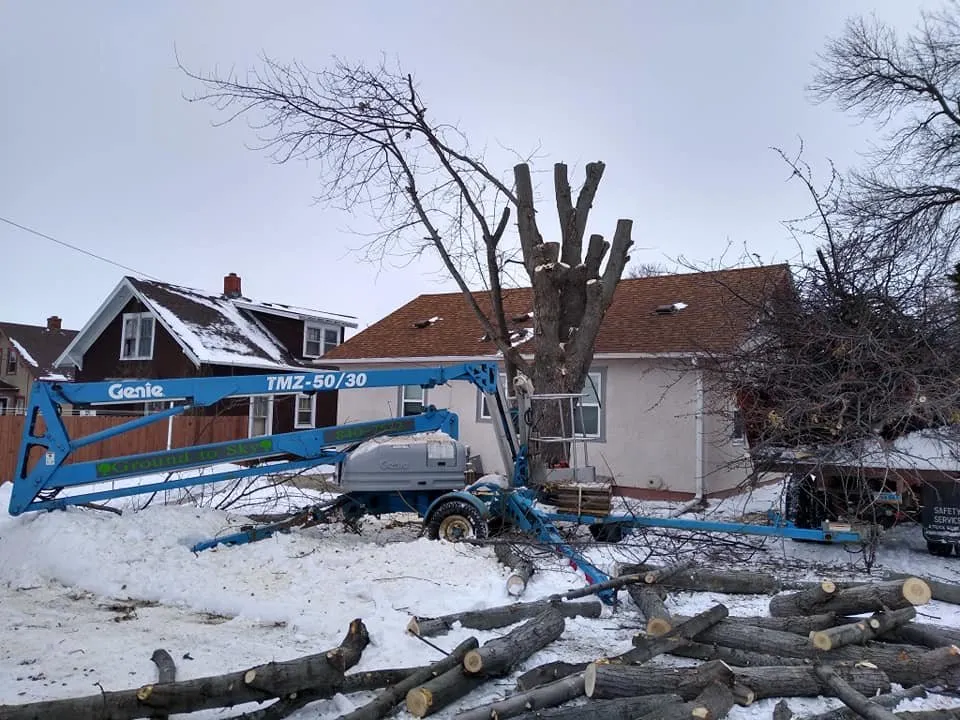 Custom landscaping services for residential properties across Valley City, ND - Ground to Sky