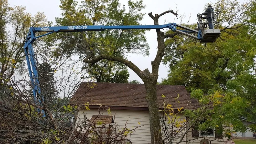 Top-rated residential landscaping for year-round maintenance in Valley City, ND by Ground to Sky