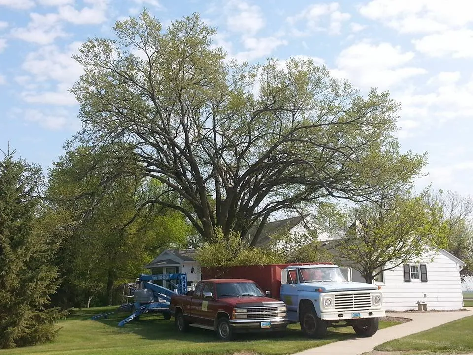 Top-rated landscape installation experts serving Valley City, ND - Ground to Sky