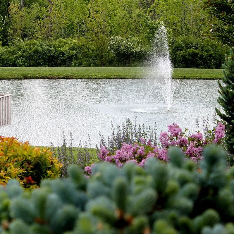 Affordable garden landscaping experts serving Orlando, FL - Ground Troops