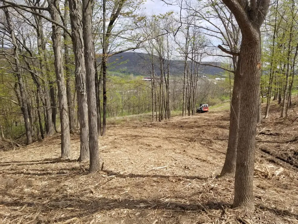 Expert residential landscaping with custom design in Wampsville, NY by Ground-Up Forestry Mulching