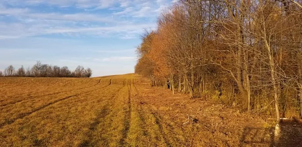 Reliable garden landscaping in Wampsville, NY - Ground-Up Forestry Mulching