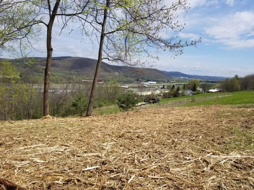 Local lawn care service in Wampsville, NY - Ground-Up Forestry Mulching