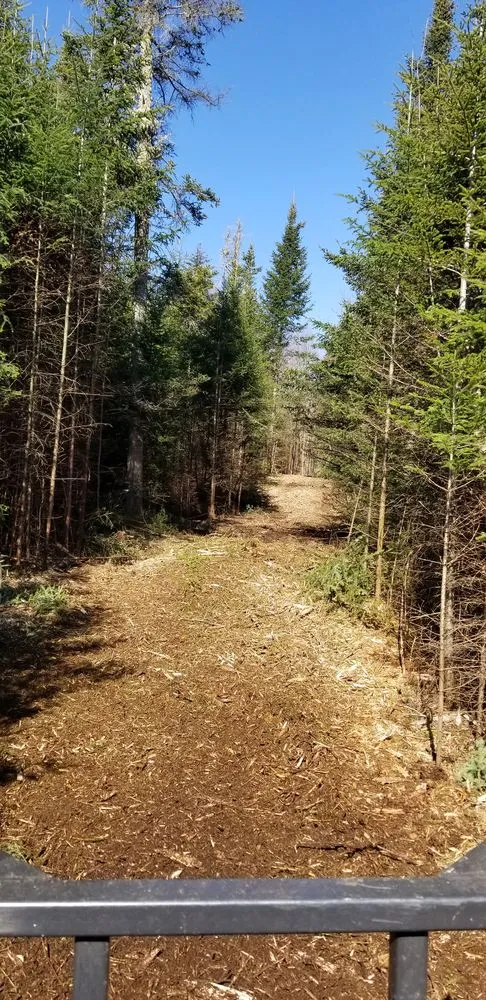 Top-rated yard cleanup service for year-round maintenance in Wampsville, NY by Ground-Up Forestry Mulching