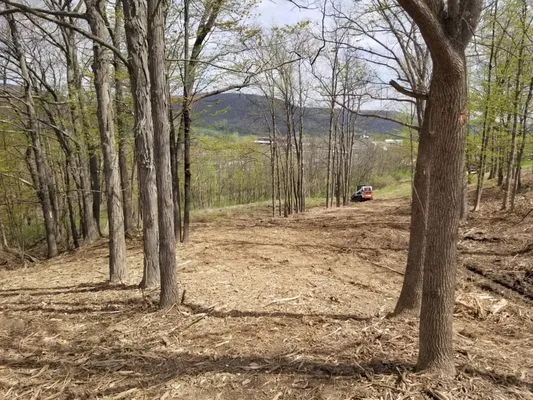 Ground-Up Forestry Mulching