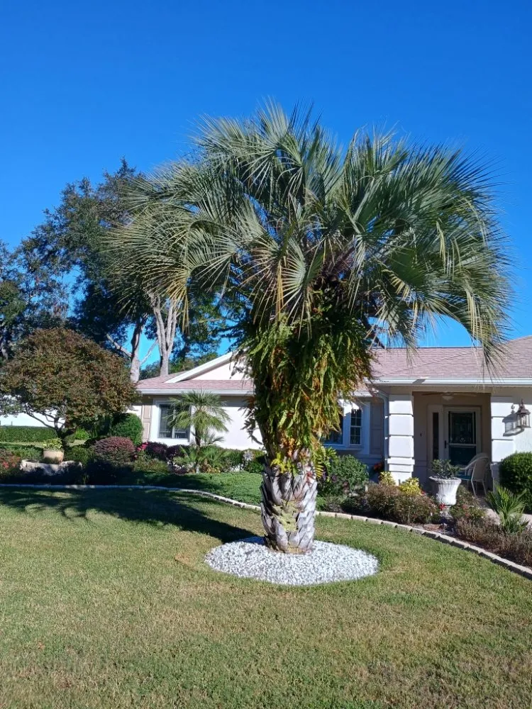 Professional garden landscaping experts serving Ocala, FL - Ground Up Landscaping and Hauling