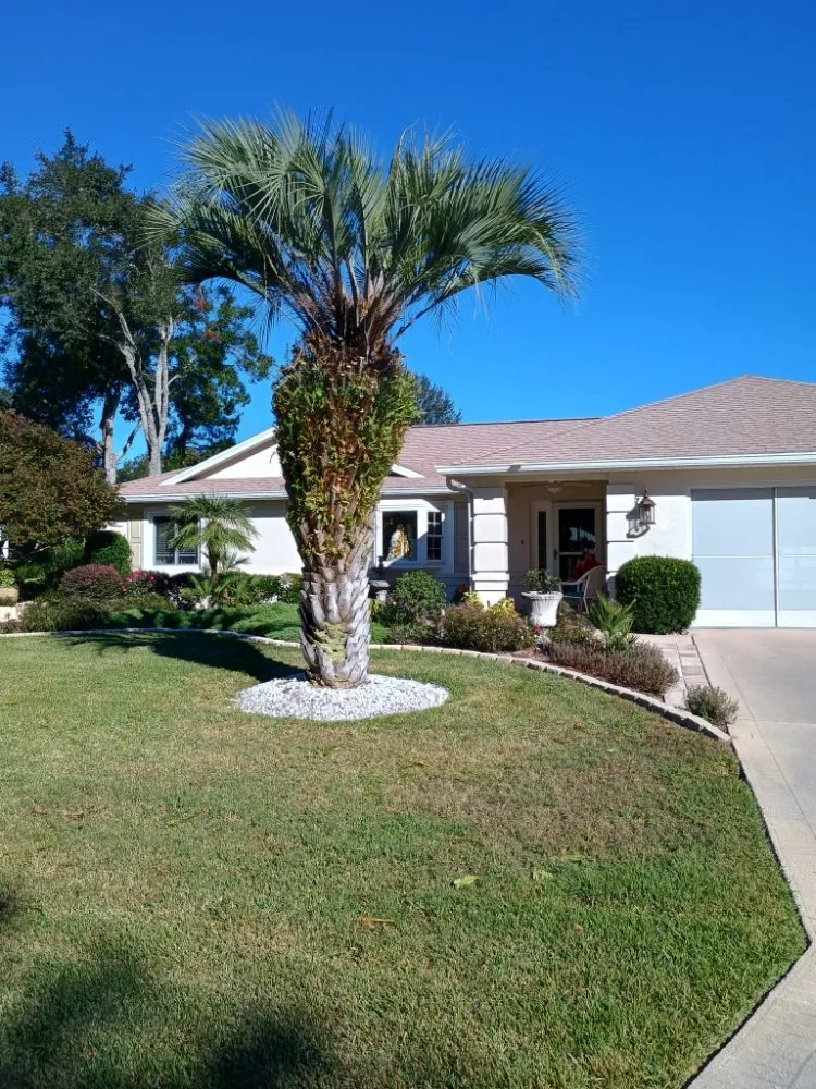 Professional landscape installation in Ocala, FL by Ground Up Landscaping and Hauling