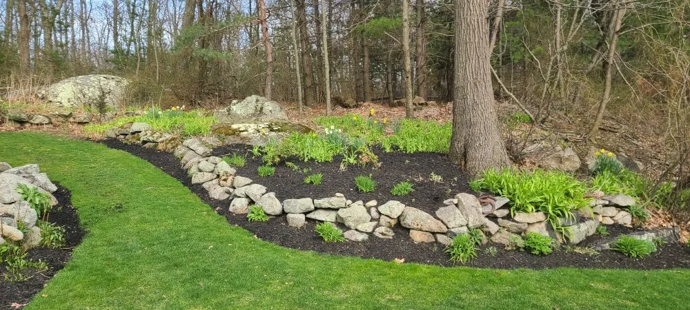 Local yard maintenance in Weymouth, MA by Ground Up Landscaping Hardscaping and Handyman Services