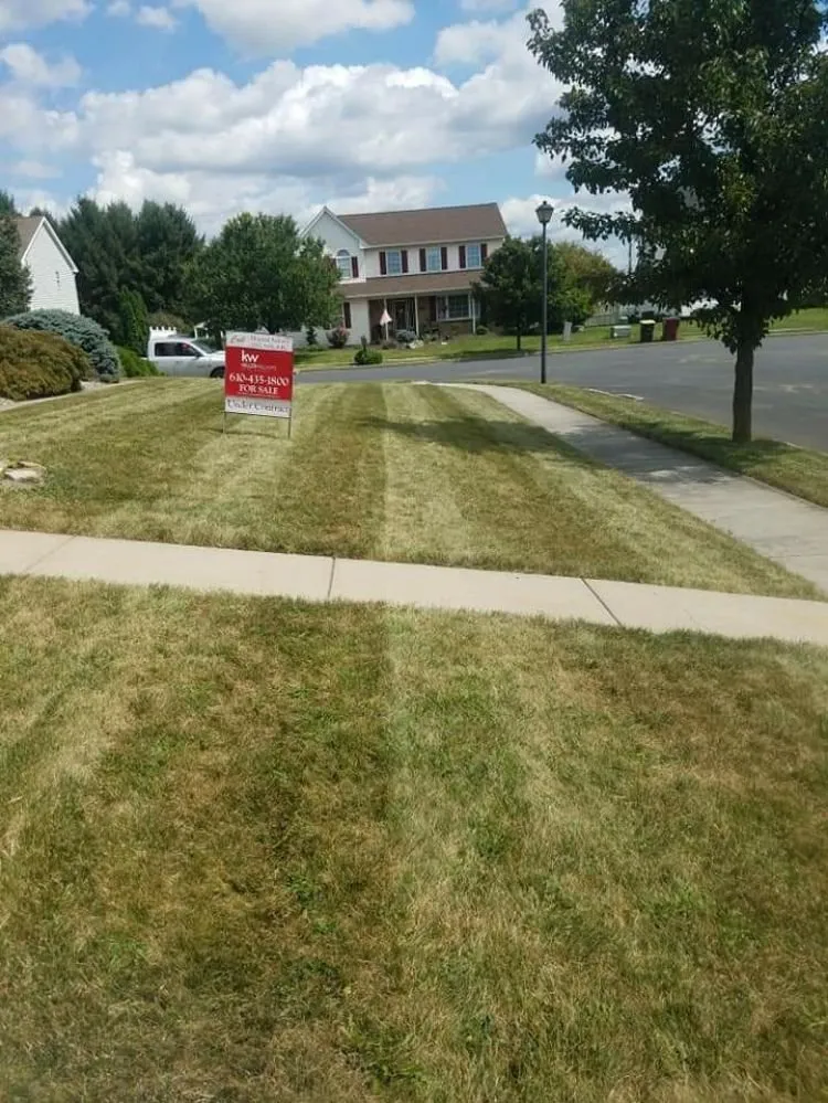 Reliable landscape design for year-round maintenance across Northampton, PA - Ground Up Landscaping Service