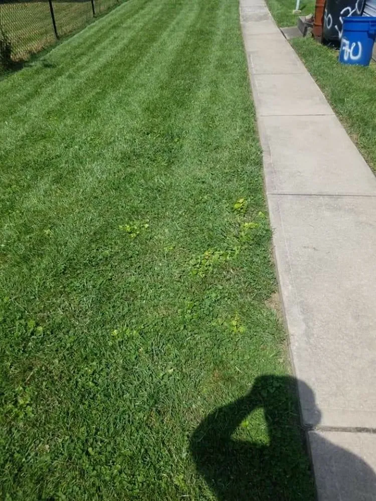 Trusted landscape design near you across Northampton, PA - Ground Up Landscaping Service