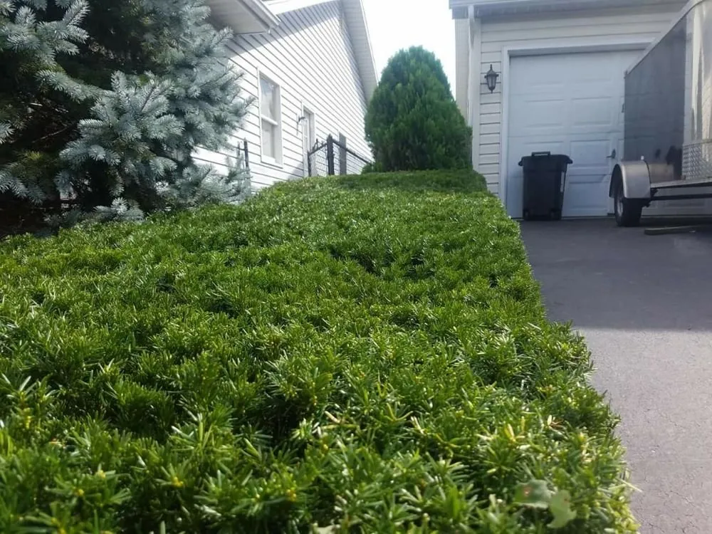 Local outdoor landscaping for homes across Northampton, PA - Ground Up Landscaping Service