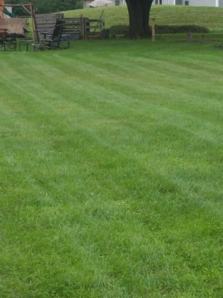 Reliable garden landscaping experts serving Northampton, PA - Ground Up Landscaping Service