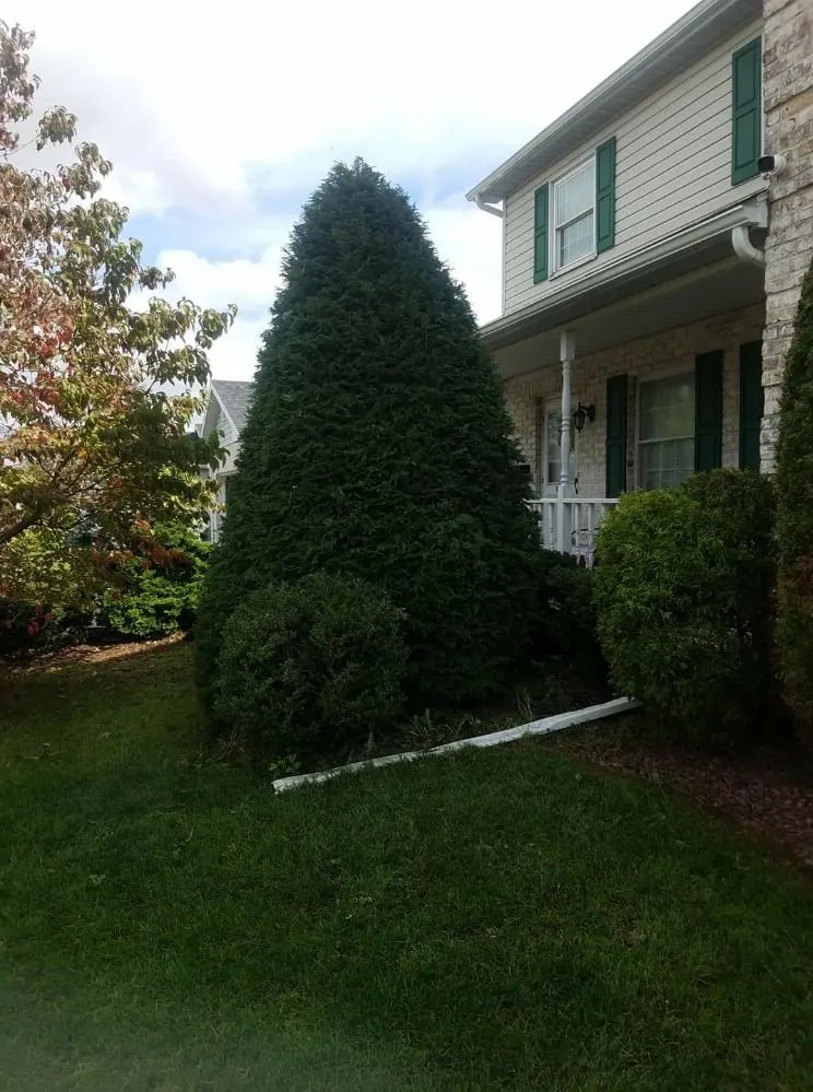 Trusted lawn mowing service for residential properties across Northampton, PA - Ground Up Landscaping Service