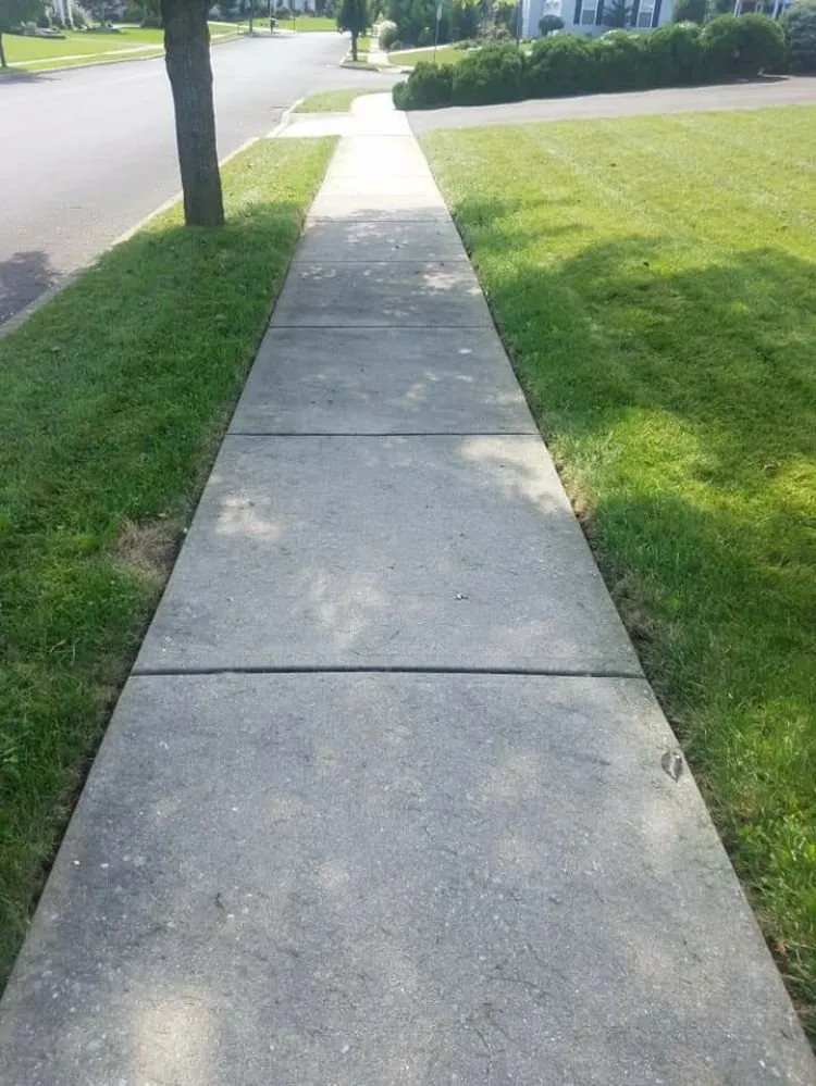 Professional outdoor landscaping experts serving Northampton, PA - Ground Up Landscaping Service