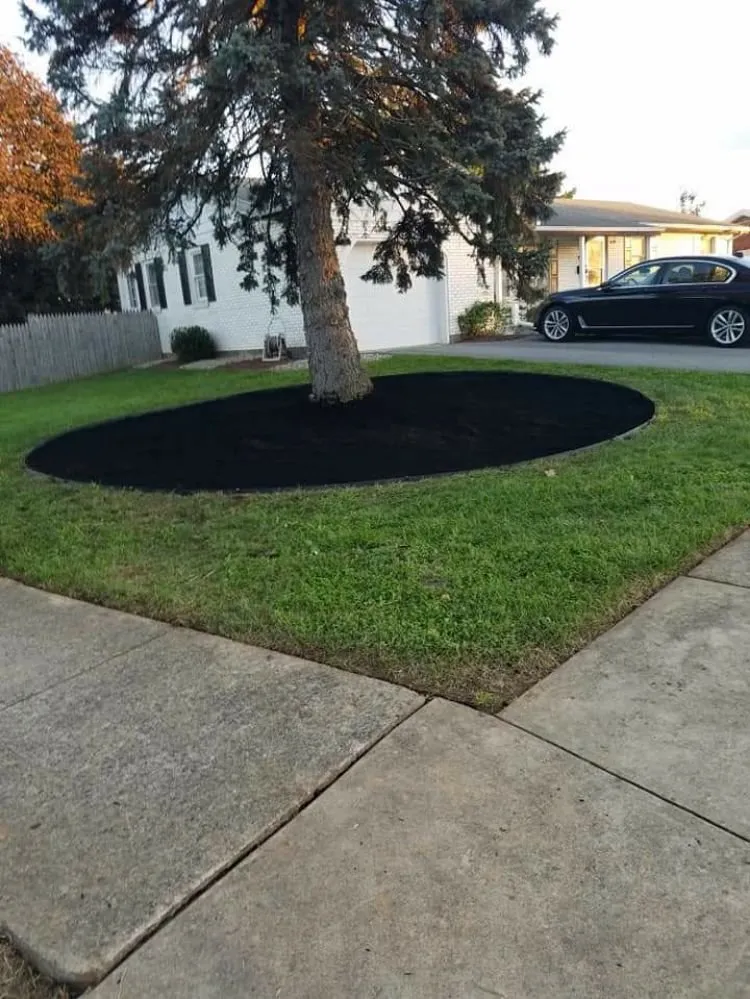 Reliable landscaping services experts serving Northampton, PA - Ground Up Landscaping Service