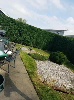 Ground Up Landscaping Service