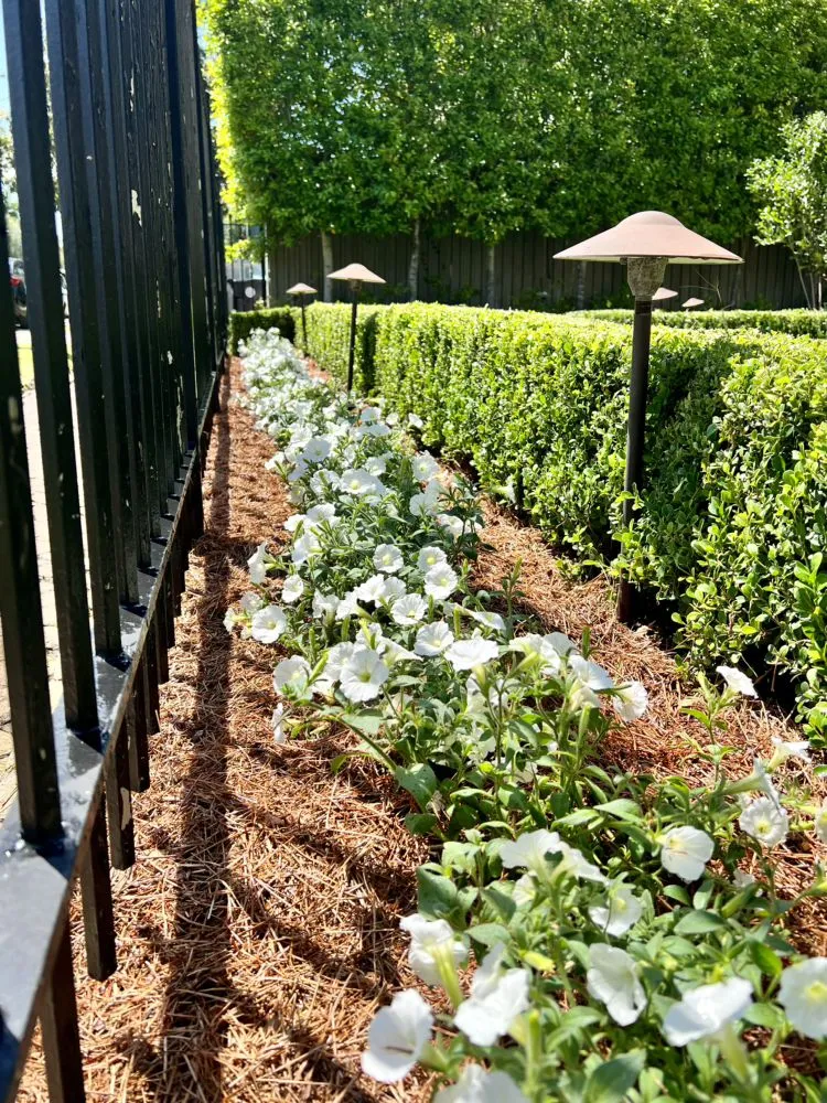 Trusted landscape installation in Metairie, LA - Ground-Up Landscaping Services