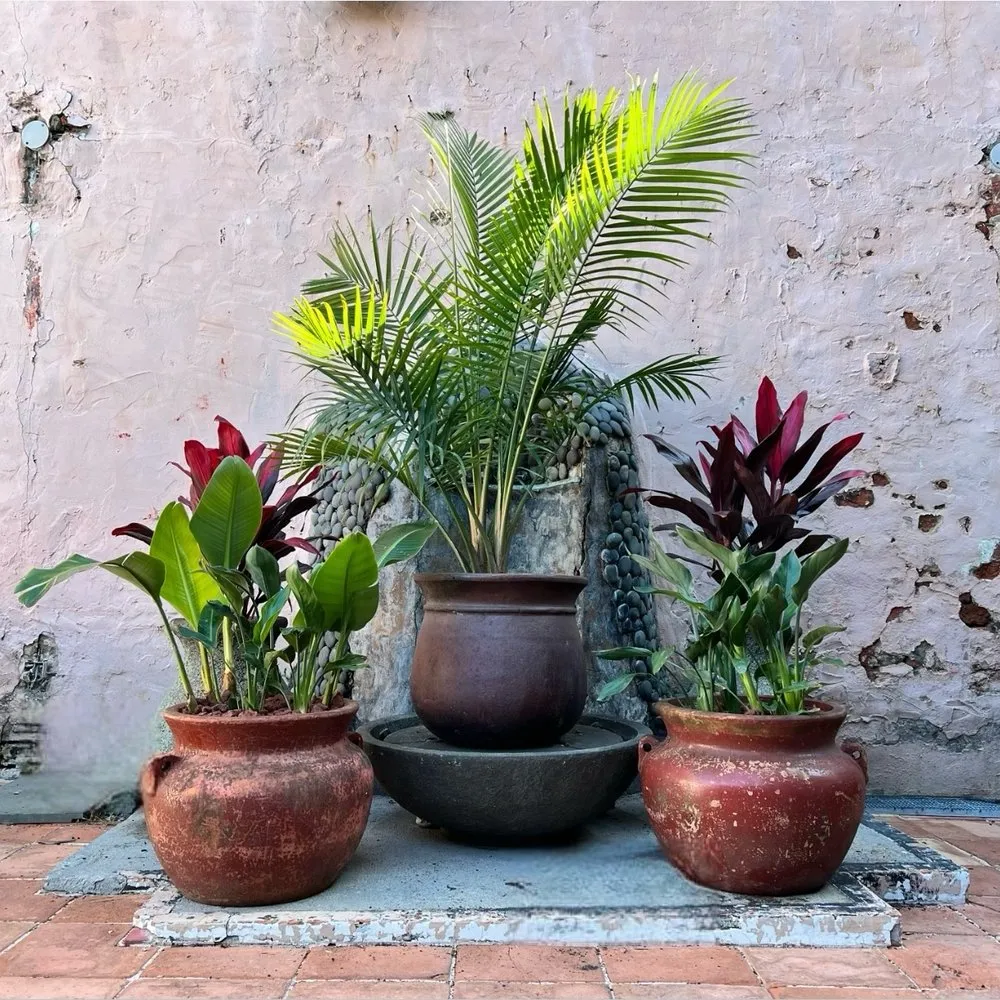 Professional yard maintenance for homes in Metairie, LA by Ground-Up Landscaping Services