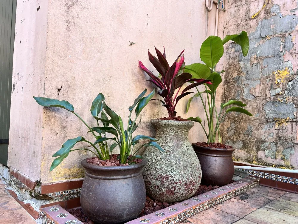 Top-rated lawn care service experts serving Metairie, LA - Ground-Up Landscaping Services