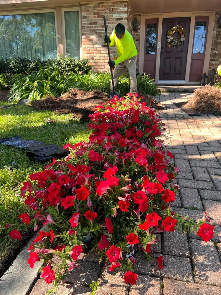 Reliable lawn care service with custom design across Metairie, LA - Ground-Up Landscaping Services