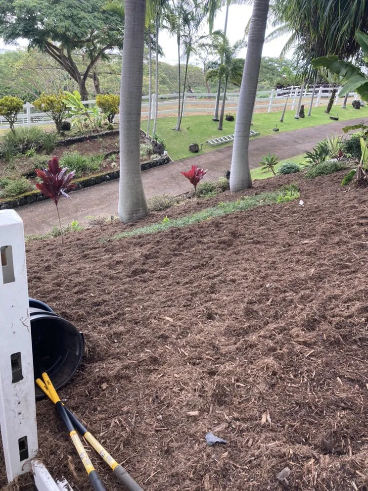 Reliable landscape installation in Kailua-Kona, HI by Ground Up Lawn Care