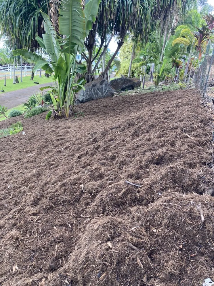 Expert landscape installation experts serving Kailua-Kona, HI - Ground Up Lawn Care