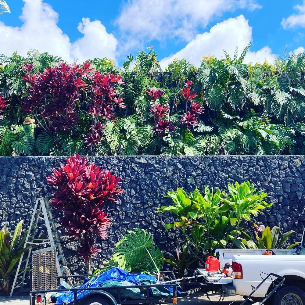 Trusted yard cleanup service experts serving Kailua-Kona, HI - Ground Up Lawn Care