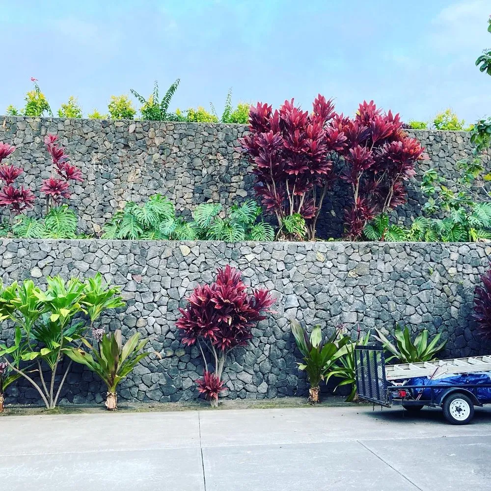 Expert yard cleanup service in Kailua-Kona, HI by Ground Up Lawn Care
