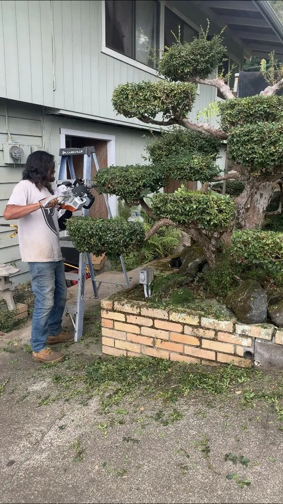 Reliable outdoor landscaping for beautiful yards in Kailua-Kona, HI by Ground Up Lawn Care