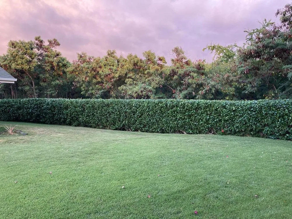 Custom landscape design for outdoor upgrades in Kailua-Kona, HI by Ground Up Lawn Care
