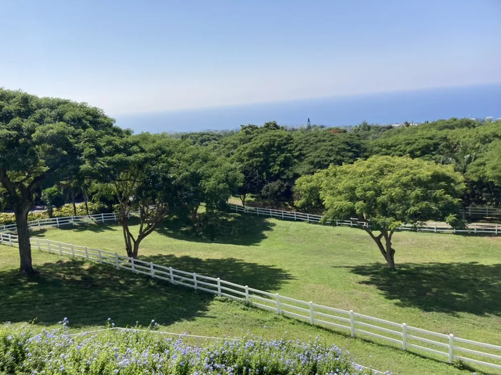 Professional landscape installation in Kailua-Kona, HI by Ground Up Lawn Care
