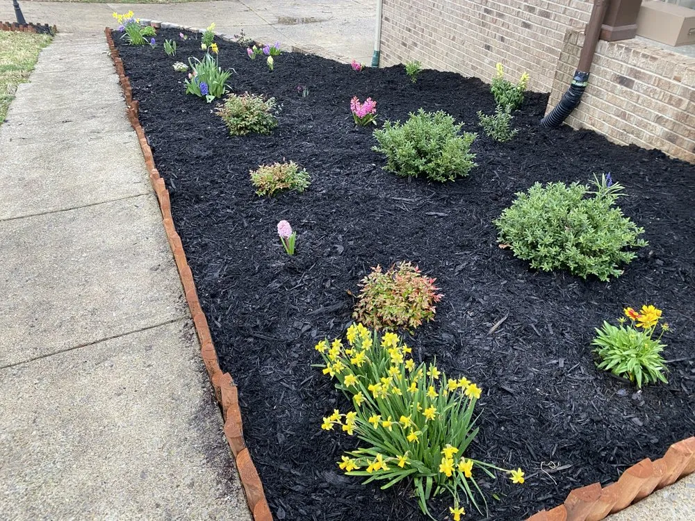 Affordable lawn mowing service in Clarksville, TN by Ground Up Lawn Service & More