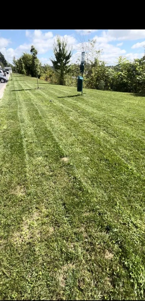 Professional outdoor landscaping experts serving Beckley, WV - Ground Up Srvc