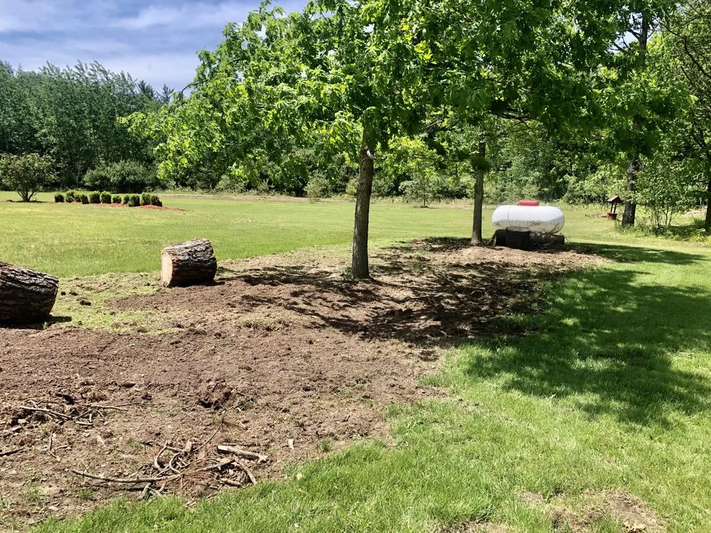 Professional yard cleanup service for homes across Mecosta, MI - Ground Up Stump Grinding