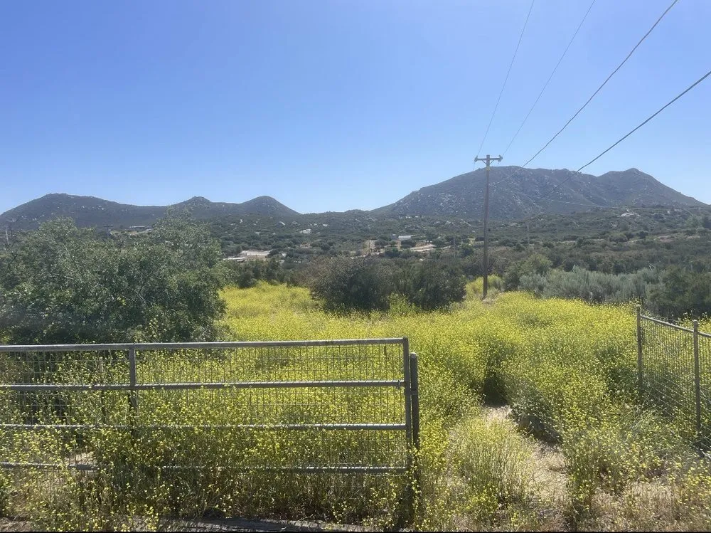 Top-rated residential landscaping for year-round maintenance across Campo, CA - Ground Werks Landscape